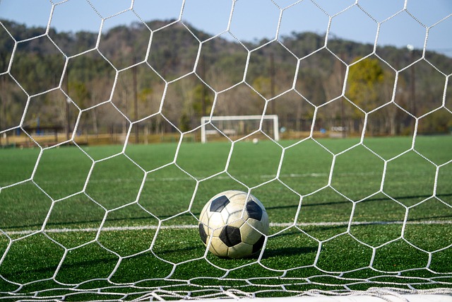 的成功合作 的成功合作