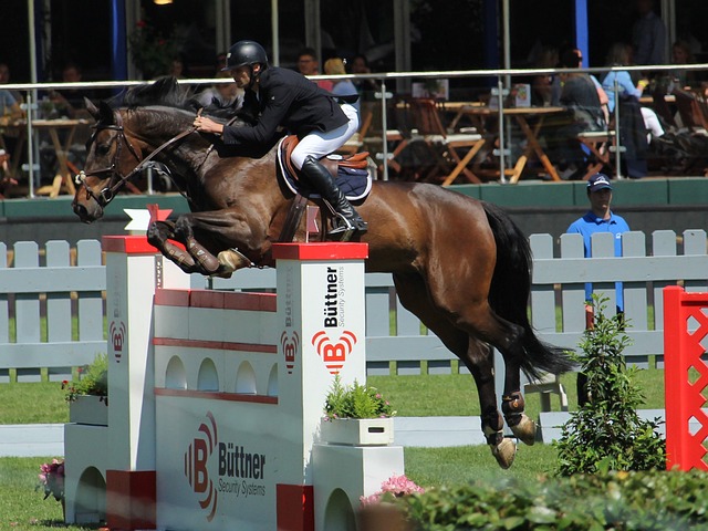 用功不可没 用功不可没