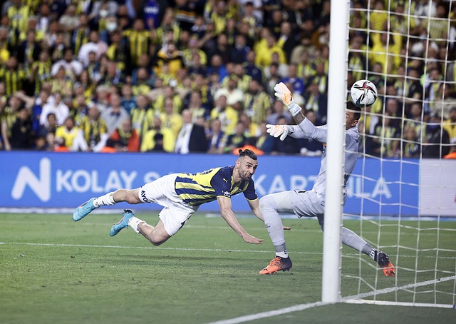 育舞台上 育舞台上