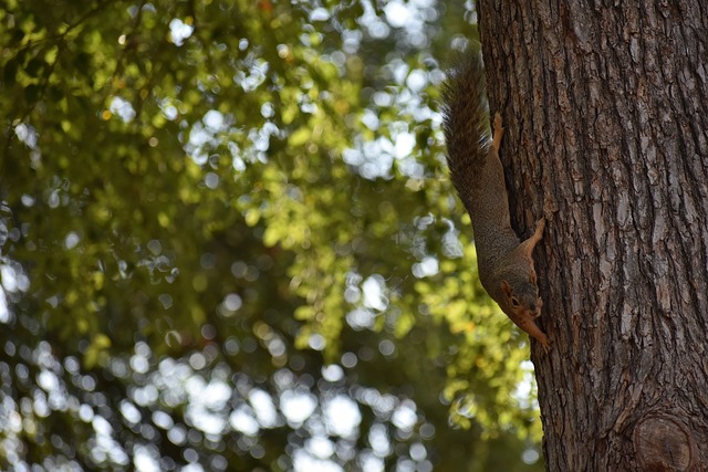 健康状况总 健康状况总