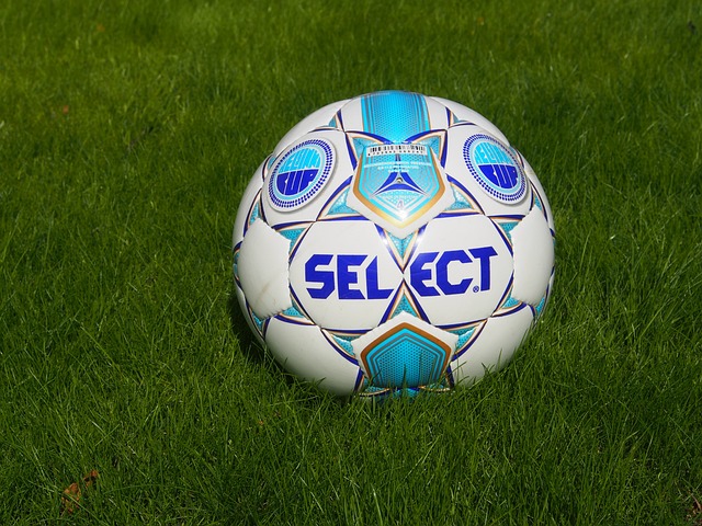 的组织能力 的组织能力